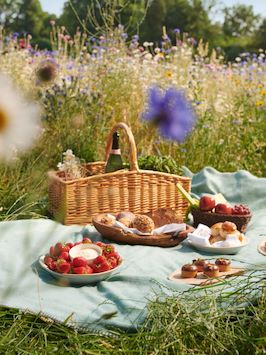 Picnic in the Grounds at Cowrth Park